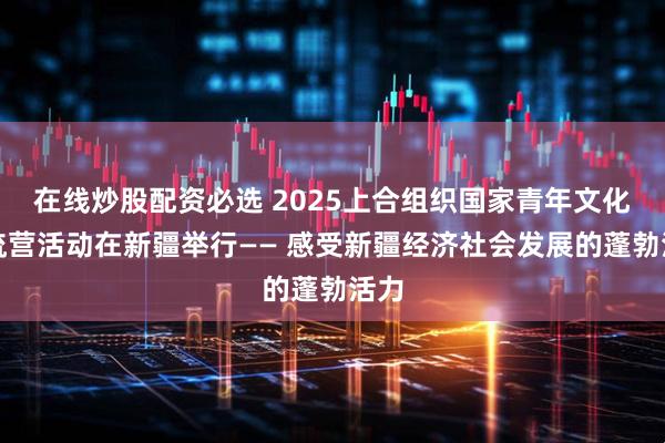 在线炒股配资必选 2025上合组织国家青年文化交流营活动在新疆举行—— 感受新疆经济社会发展的蓬勃活力