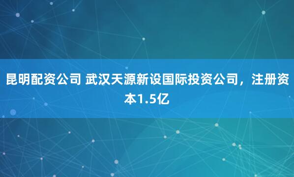 昆明配资公司 武汉天源新设国际投资公司，注册资本1.5亿